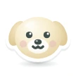 컨디션 평소 같아요