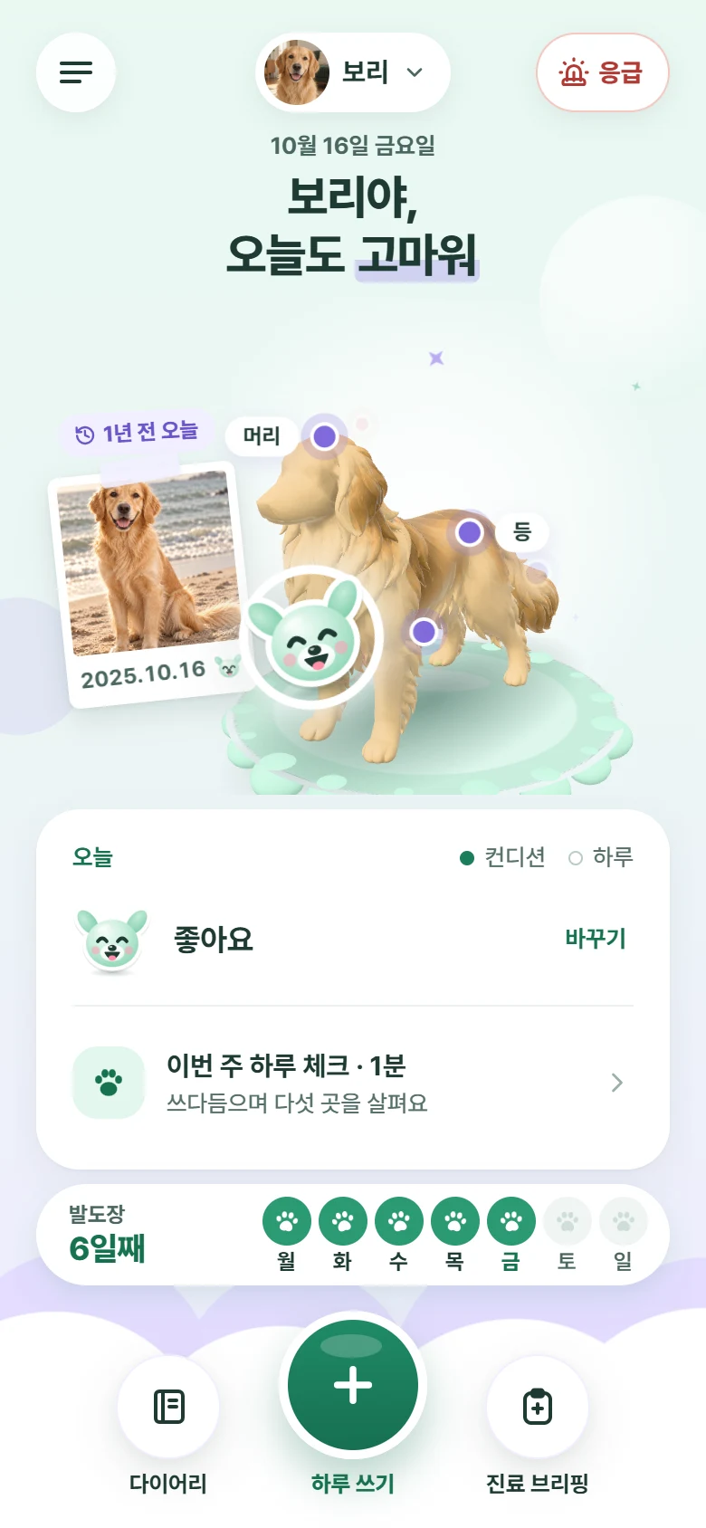 모아하루 홈 화면: 골든 리트리버 보리의 3D 조각상 가슴에 붙은 '좋아요' 얼굴, 1년 전 오늘, 발도장 6일째